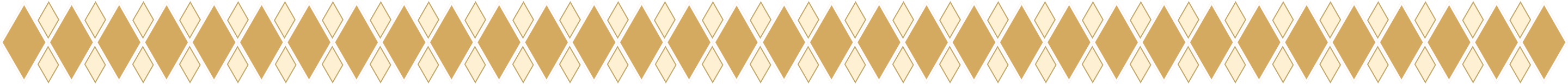 Bottom Border